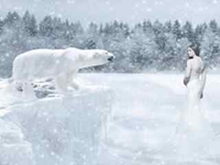 冰美人屏保-Polar Bear Express ScSv